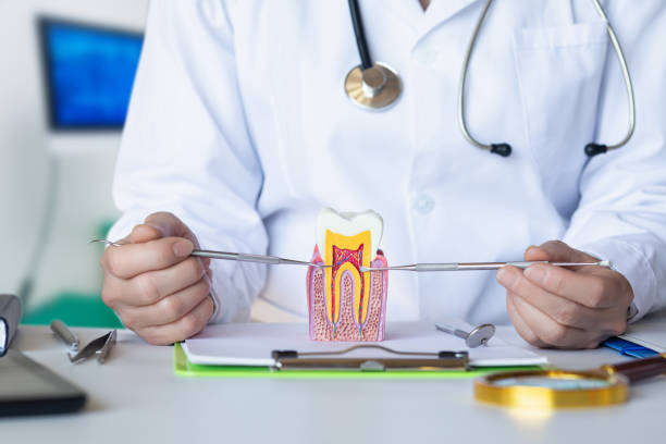 Best Pediatric Emergency Dentist in Banner Hill, TN